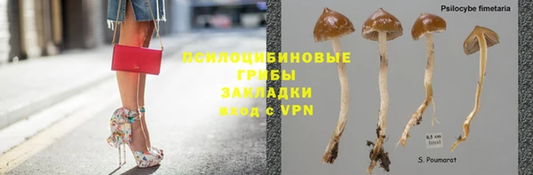 спиды Дмитров