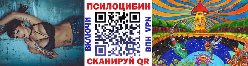 Псилоцибиновые грибы Psilocybine cubensis  Пролетарск 